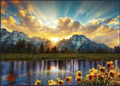 Brute Force Seam Carving Output